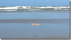 WP_20140617_009
