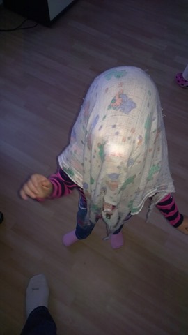 WP_20140913_18_44_19_Pro