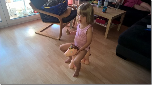 WP_20150807_17_43_07_Pro