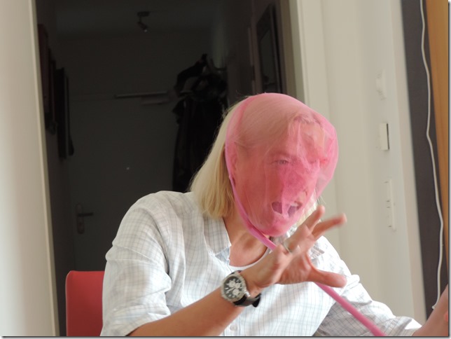 DSCN6229