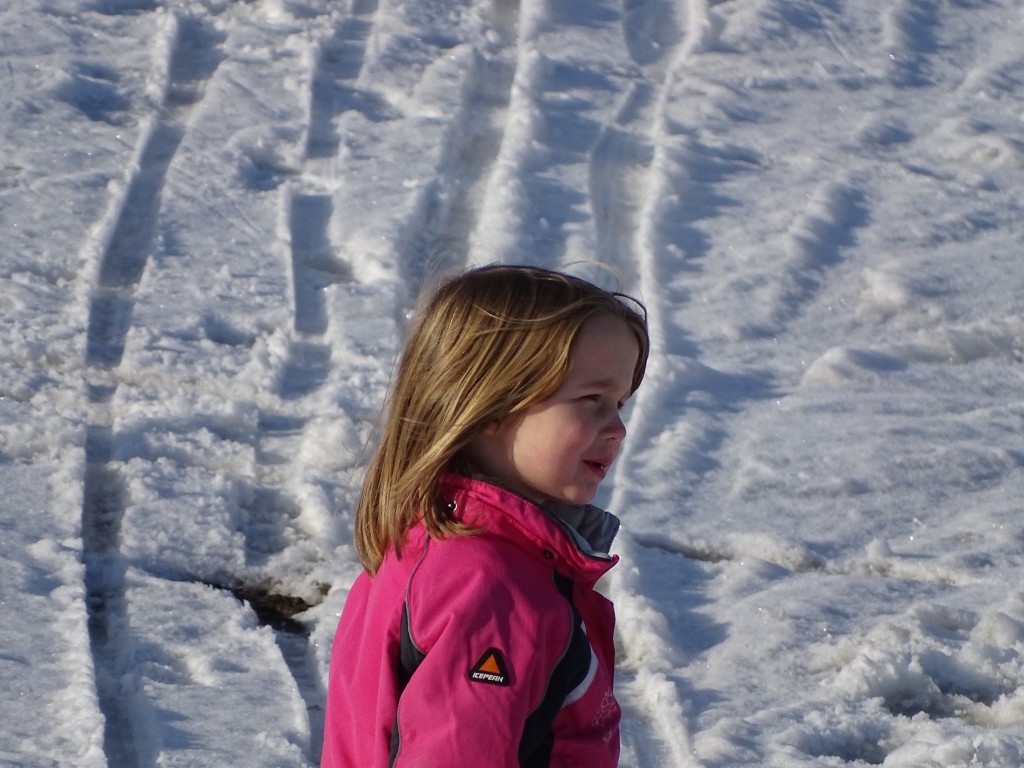 Schneemini