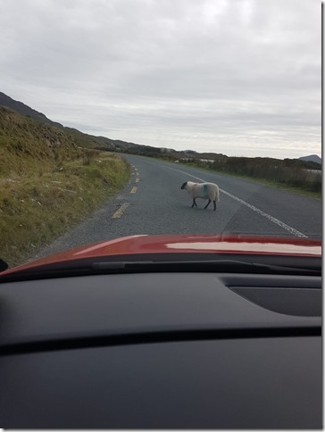 IMG-20180830-WA0001