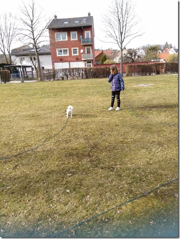 IMG-20190310-WA0002